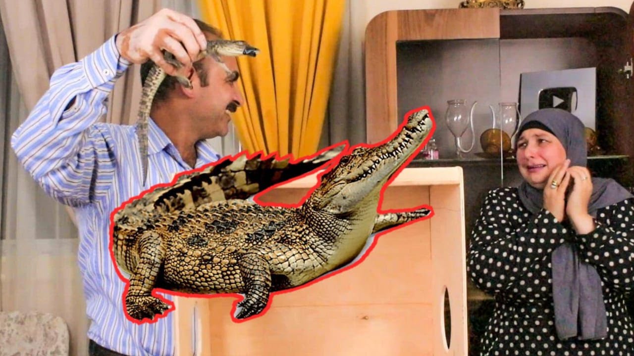 تحدى ايش فى الصندوق | ابراهيم جابلى تمساح !!