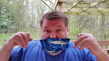 Welcome to the Introduction to Web Development for Notes Domino Developers April 20, 2020