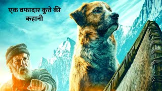 The Call Of The Wild (2020) Film Explained in Hindi/Urdu | Call Of The Wild Summarized हिंदी