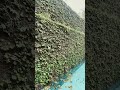 Essa piscina deu ruim de folhas kkkk