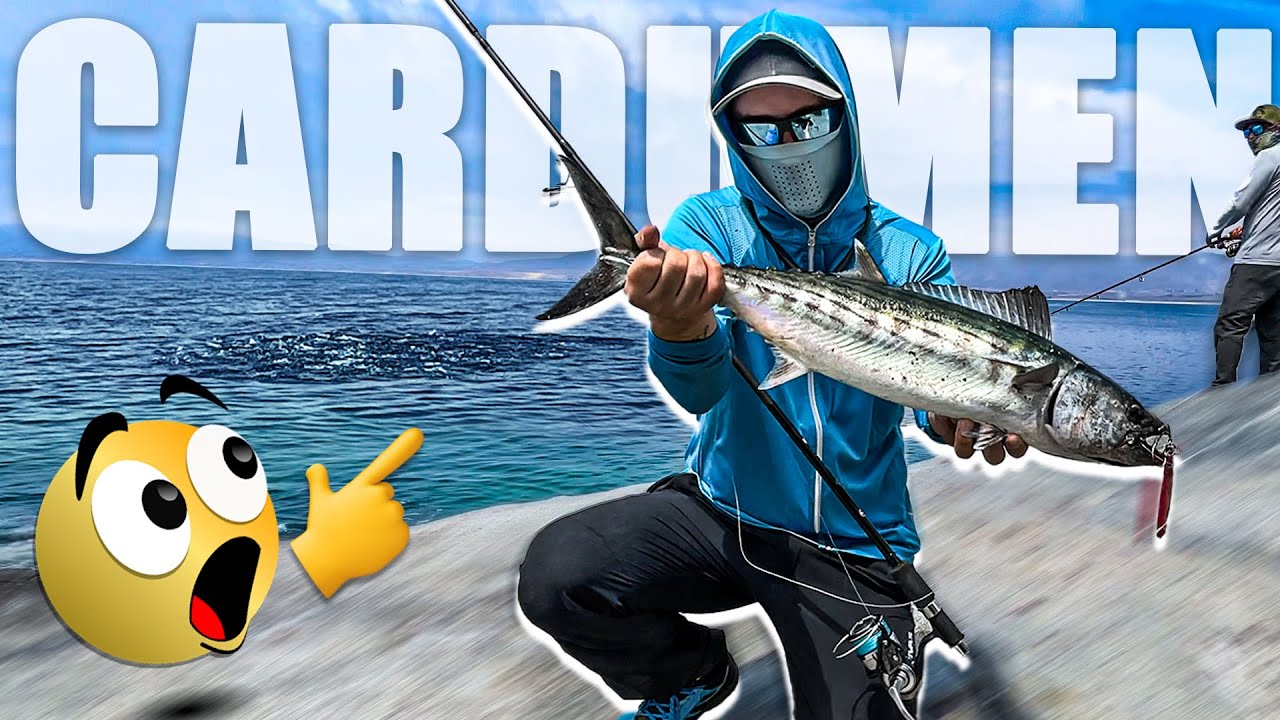 MUCHOS CARDUMEN de palometas, sierras y bonitos !!! atacando señuelos