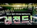 리니지W (天堂W) [똘건] 한국 최초 공성전 승리!? 에바6 서버 레전드 공성전!!! 똘사단 켄트성 먹다 !