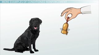 Bayesian Data Analysis with JASP (EAM) -  S2.1 - Recap on Conditioned Probability
