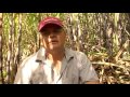 EL TRAPICHE DE DON GOLDON