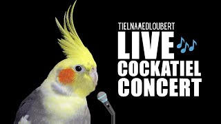 Singing Talking Cockatiel Performs Live Concert | 22+ Min | Bird Companion | Tiel Named Loubert