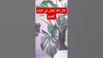 قال الله تعالى في كتابه العزيز #اكسبلور #ترند سورة الملك##القران الكريم