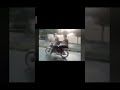 يول شلونك يا فاروق