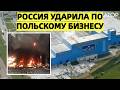 После двух ударов России польский завод Cersanit встал пол