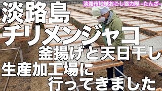 淡路島　チリメンが出来るまで　淡路島　チリメンジャコ　加工場へ行ってきました。メイキング　水産加工　淡路島　地場産業　紹介　地域おこし協力隊