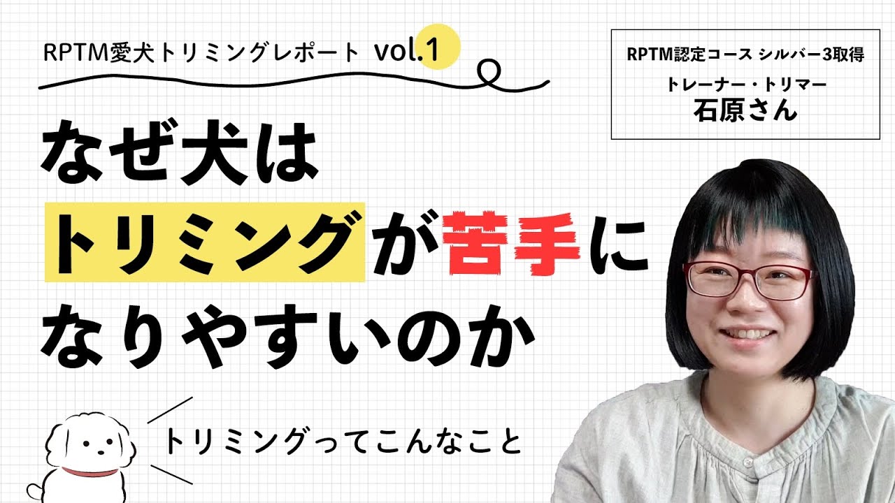 Rptm愛犬トリミングレポートvol 1 なぜ犬はトリミングが苦手になりやすいのか トリミングってこんなこと Youtube Rptm愛犬トリミングレポートvol 1 なぜ犬はトリミングが苦手になりやすいのか トリミングってこんなこと Youtube