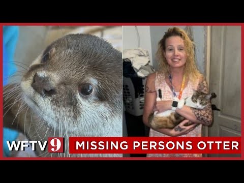 Florida police use trained otter to search pond for missing mom's remains