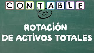 TOTAL ASSET TURNOVER