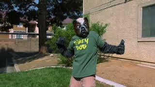 "The Virus is a Scam" Music Video, from "Cool Cat vs Dirty Dog" Movie