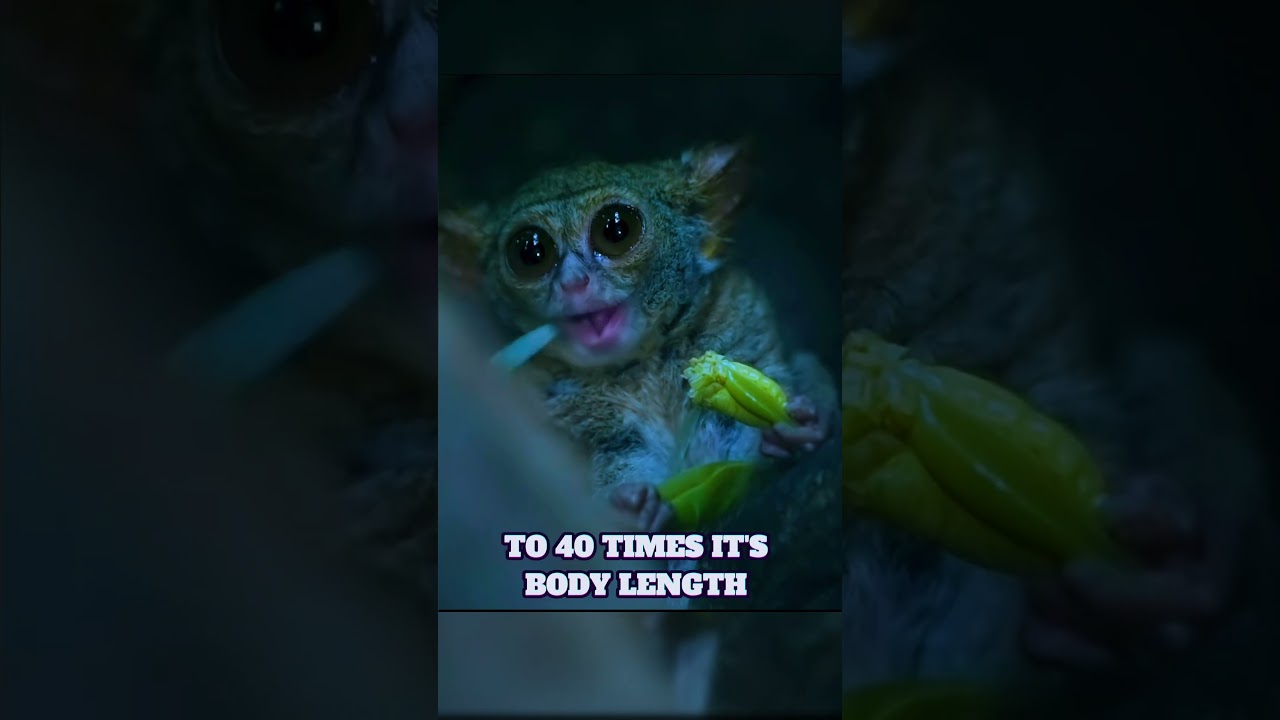 Would you keep this animal? 