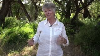 Mary-Ann's Surf Retreat Testimonial