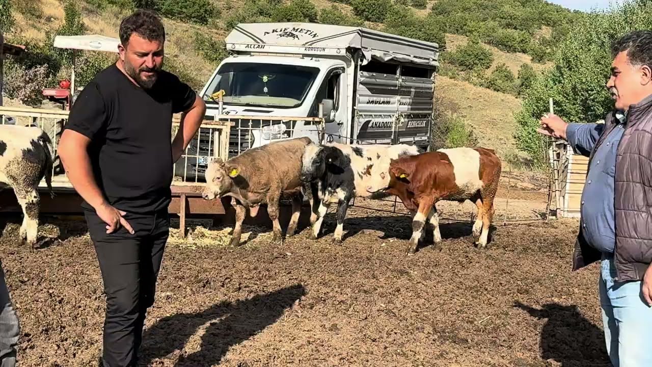 PARA İSTERKEN UÇUYORLAR