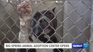 Big Spring gets new animal adoption center