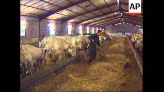 FRANCE: FRENCH BAN ON BRITISH BEEF IMPORTS UPDATE