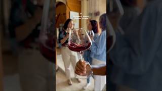 Discover Château Shuette: A Hidden Gem in Bordeaux 🍷✨
