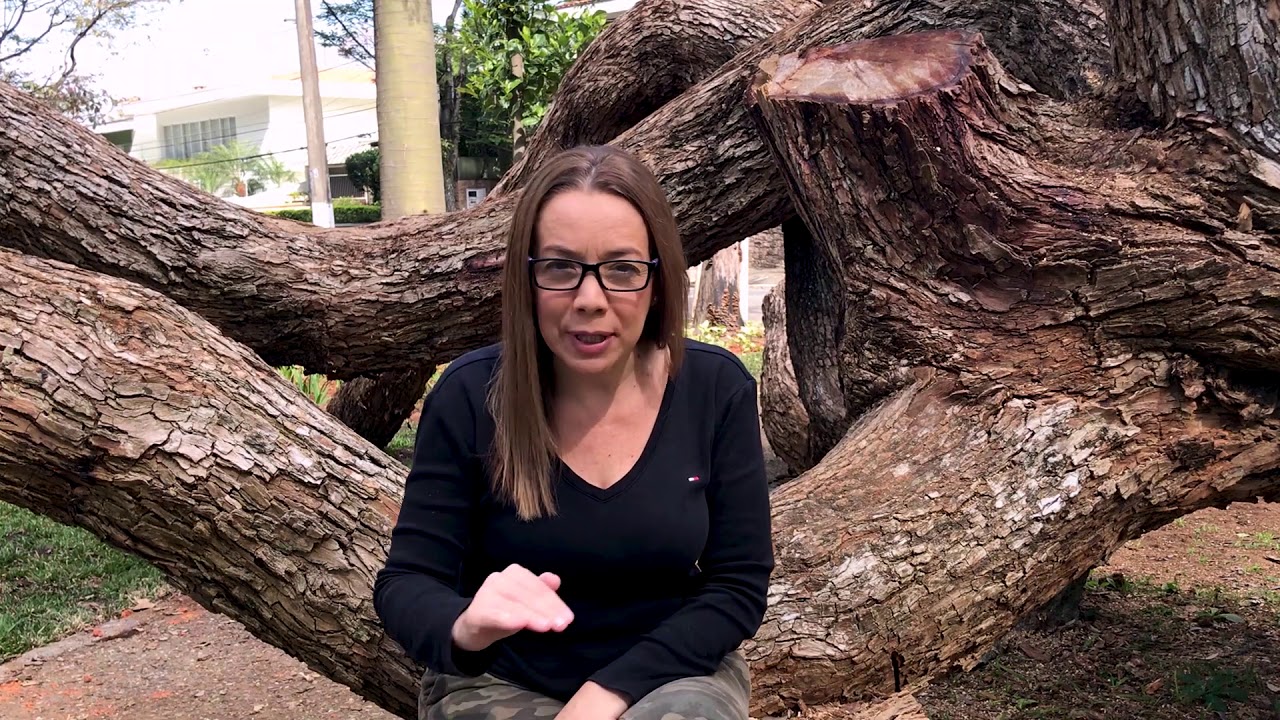 O que é Socio Tasking ?