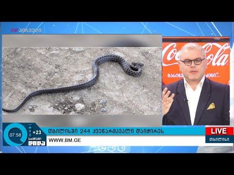 გიორგი ისაკაძის 28 ივნისის პროლოგი!