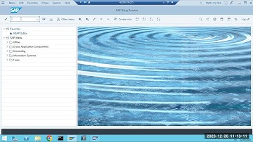 SAP WORKPROCESS - ENQUEUE & BACKGROUND  WORKPROCESS