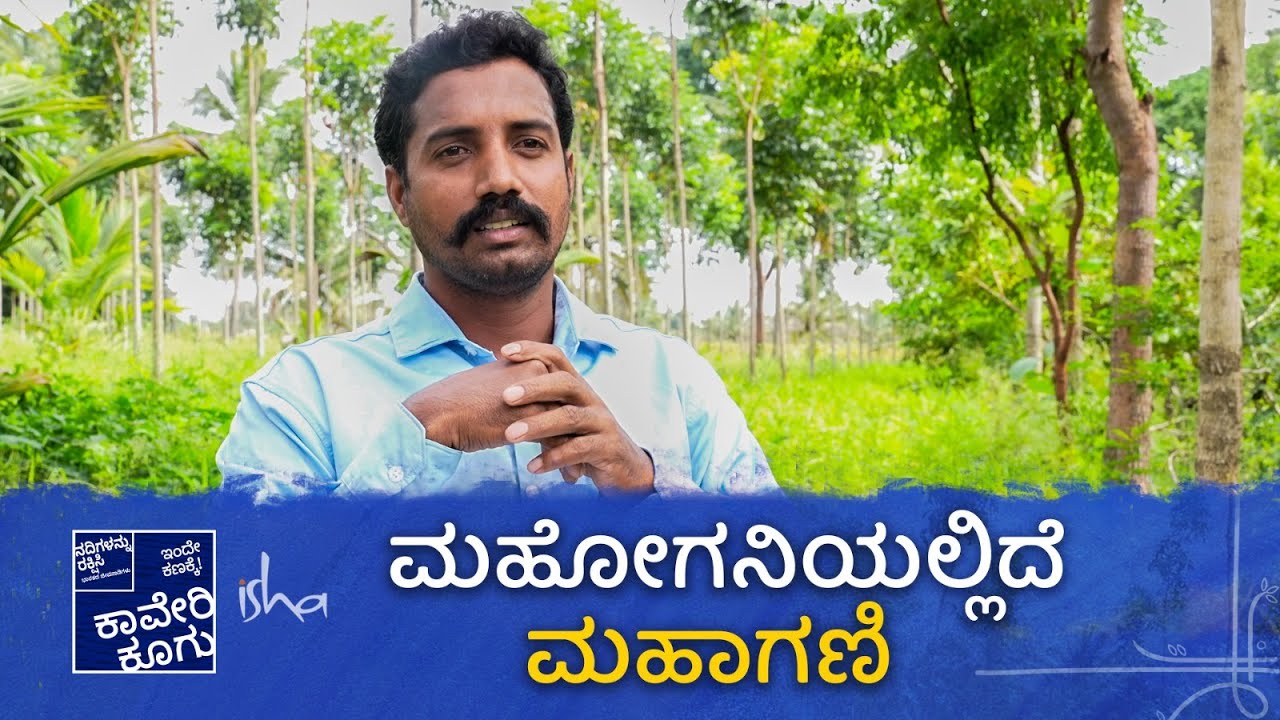ಮಹಾಗನಿ ಮರಗಳು ಸ್ಥಿರವಾದ ಹೂಡಿಕೆ | Mahogany trees as fixed deposit |