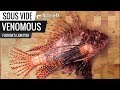 Sous Vide VENOMOUS Fish! Florida's Lion Fish