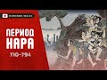 История Японии - период Нара (710 - 794 гг.)