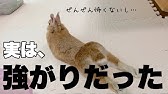 賞金は100万円 Bs11 僕の名前をつけてねキャンペーン Pv Bs11 Bs Eleven Fan Youtube 賞金は100万円 Bs11 僕の名前をつけてねキャンペーン Pv Bs11 Bs Eleven Fan Youtube