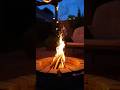 This Tiny Fire Trick Can Save Your Life in the Wild 🔥”