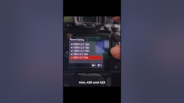 Chroma sub sampling explained, which one do you use?