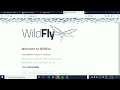 🟡 Integração Eclipse e WildFly | Criação de Datasource com PostgreSQL! #01