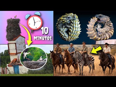 30 COISAS QUE VOCÊ NÃO SABIA EM 10 MINUTOS 😮🔥 [253]