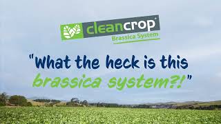 Cleancrop™ Brassica system