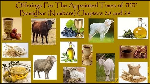 Bemidbar (Numbers) Chp 28 & 29  Offerings For The Appointed Times of יהוה