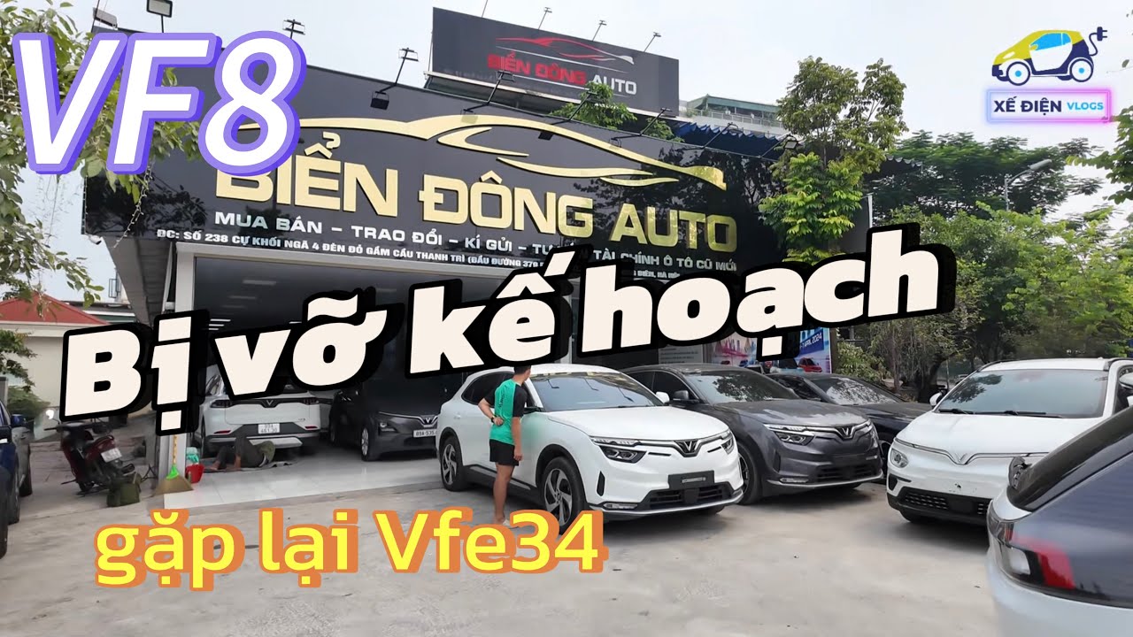 #vf8 bị vỡ kế hoạch ra biển vàng. Gặp lại siêu chiến binh #vfe34 