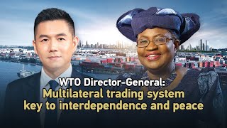 WTO Director-General: Multilateral trading system key to interdependence and peace