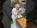 84歳のタツじいちゃんと孫息子が二人三脚で作る絶品どら焼き🍵 #japanesefood