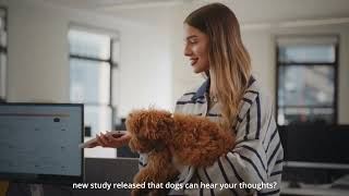 Meet Tavily Powering Ai That Gives You Answers You Can Trust