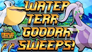 Water Tera Type GOODRA SWEEPS TEAMS! - Pokémon Scarlet & Violet Competitive Ranked Double Battles