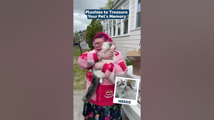 Stuffed Animals to Treasure Your Pet's Memory | MyPetsies©