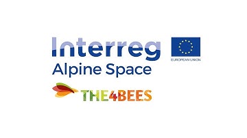 THE4BEES application for INTERACT