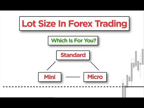 Forex Beginner: Lot Size In Forex Trading (How To)