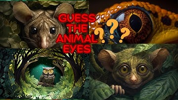👀🐾 Can You Guess the Animal Eyes? Challenge Accepted! 🕵️‍♂️🔍