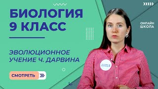 Эволюционное учение Ч. Дарвина. Движущие силы эволюции. Урок 27. Биология 9 класс