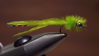 Damselfly Nymph