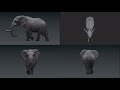 Realistic elephant walk cycle