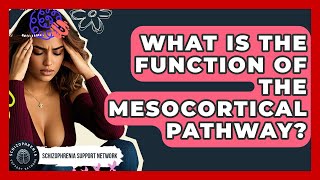 What Is The Function Of The Mesocortical Pathway? - Schizophrenia Support Network