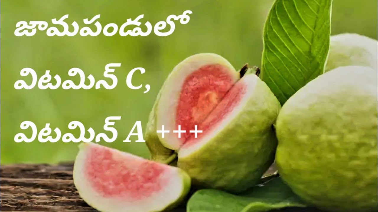 Guava Health benefits with informative air